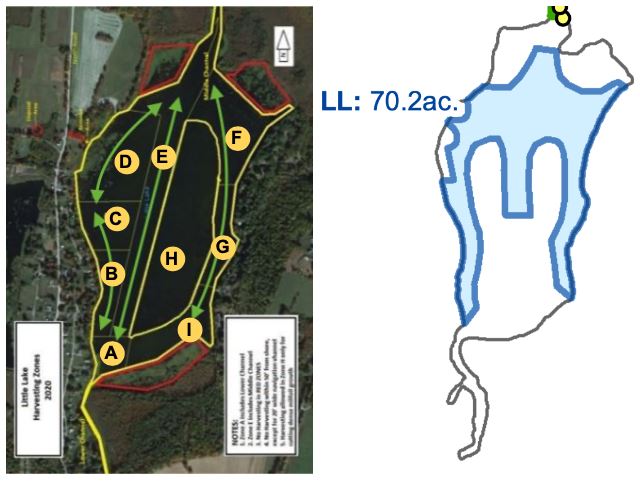 Milfoil Treatment 2021 - Little Lake
