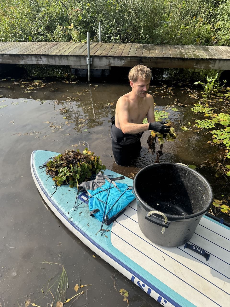 Beck hand-pulling water chestnut on Lake St. Catherine Beck hand-pulling water chestnut on Lake St. Catherine