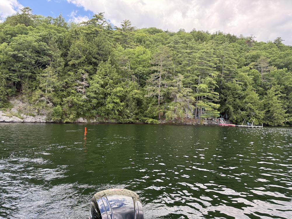Big Lake - Lake St. Catherine - In-Lake Logger