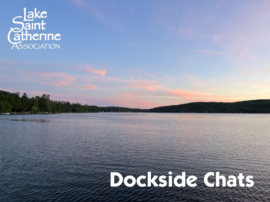 The Lake St. Catherine Association - Dockside Chats 2022