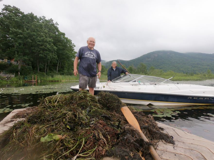 Milfoil Cleanup Community Day 2