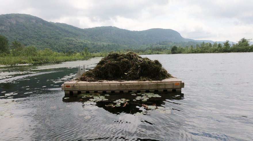 Lake St. Catherine - Milfoil Cleanup Community Day, floating platform dropoff